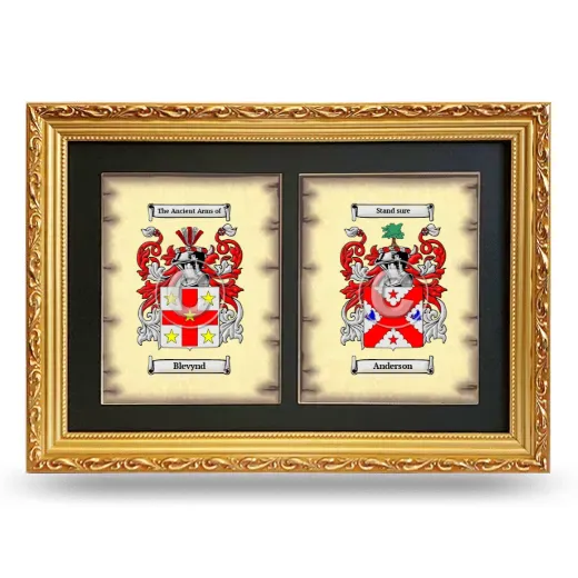Double Coat of Arms Framed - Gold