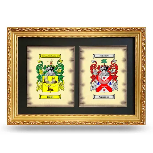 Double Coat of Arms Framed - Gold
