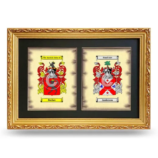 Double Coat of Arms Framed - Gold