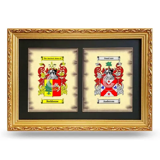 Double Coat of Arms Framed - Gold