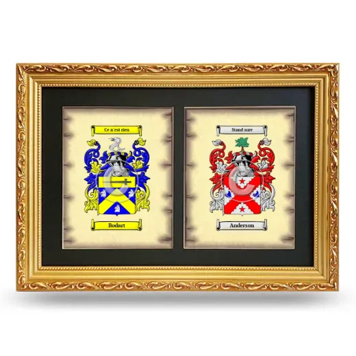 Double Coat of Arms Framed - Gold