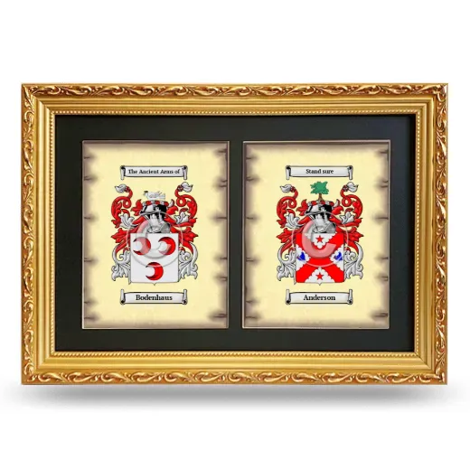 Double Coat of Arms Framed - Gold