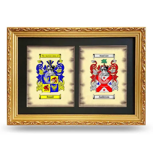 Double Coat of Arms Framed - Gold