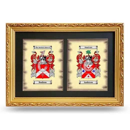Double Coat of Arms Framed - Gold