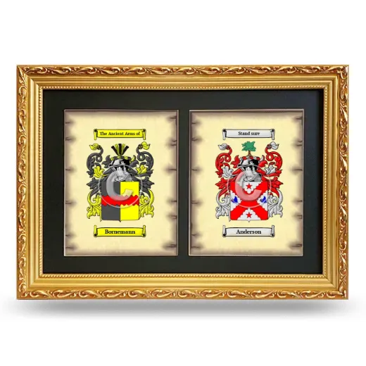Double Coat of Arms Framed - Gold