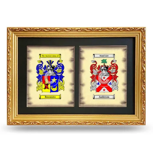 Double Coat of Arms Framed - Gold