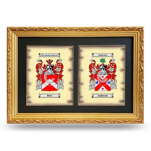 Double Coat of Arms Framed - Gold