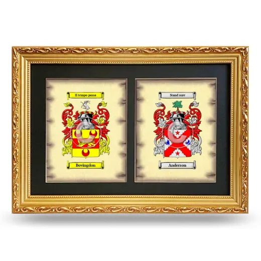 Double Coat of Arms Framed - Gold