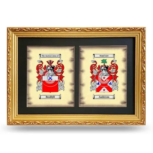 Double Coat of Arms Framed - Gold
