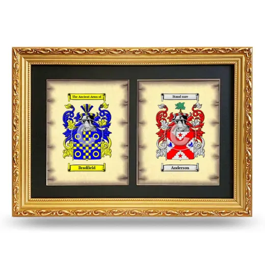 Double Coat of Arms Framed - Gold