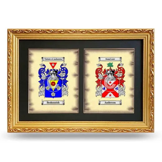 Double Coat of Arms Framed - Gold