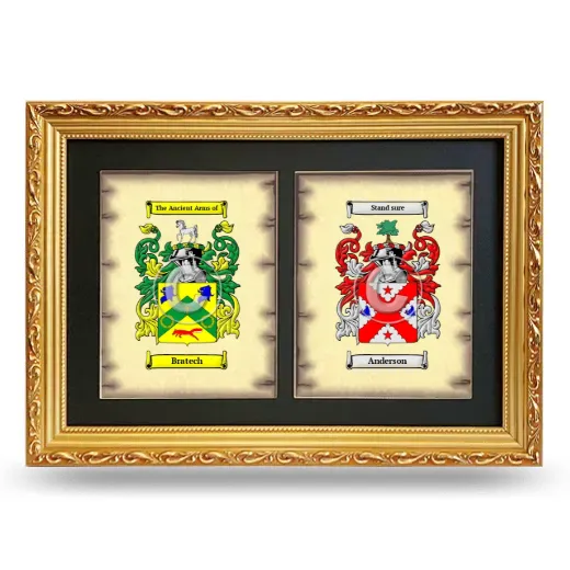 Double Coat of Arms Framed - Gold