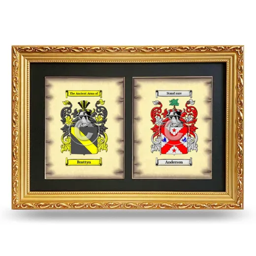 Double Coat of Arms Framed - Gold