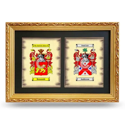 Double Coat of Arms Framed - Gold
