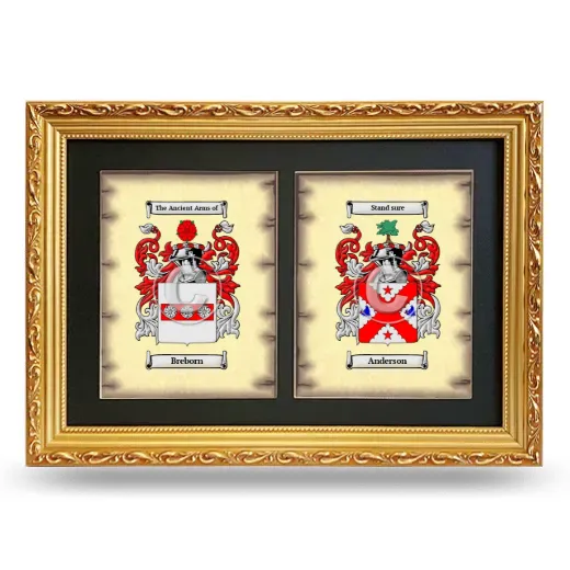 Double Coat of Arms Framed - Gold