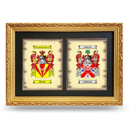 Double Coat of Arms Framed - Gold