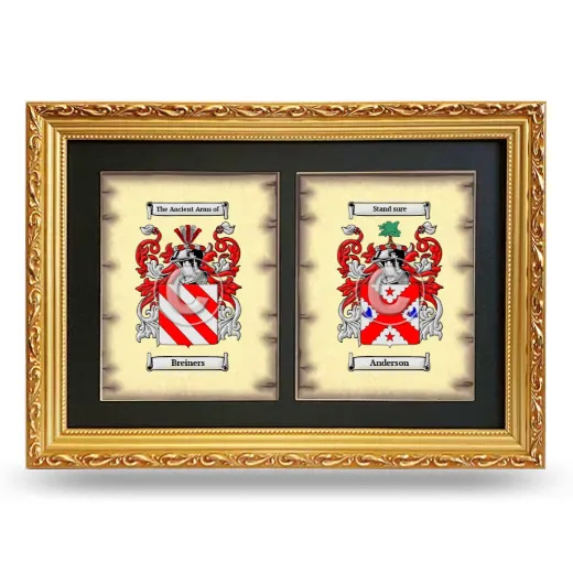 Double Coat of Arms Framed - Gold