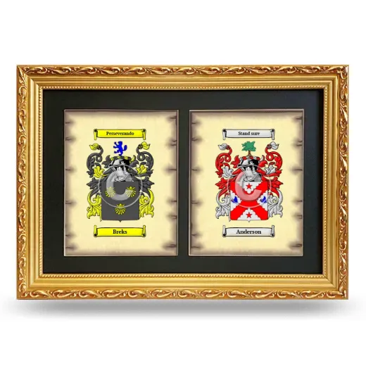 Double Coat of Arms Framed - Gold