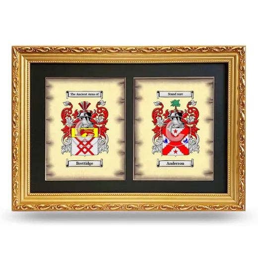 Double Coat of Arms Framed - Gold