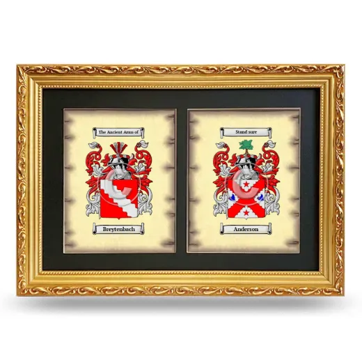 Double Coat of Arms Framed - Gold