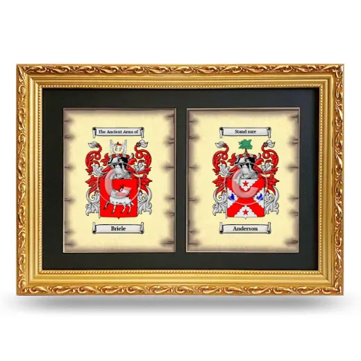 Double Coat of Arms Framed - Gold