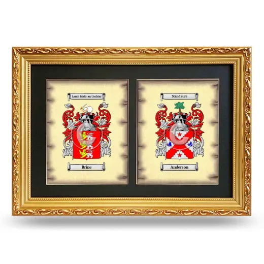 Double Coat of Arms Framed - Gold