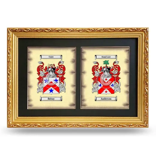 Double Coat of Arms Framed - Gold
