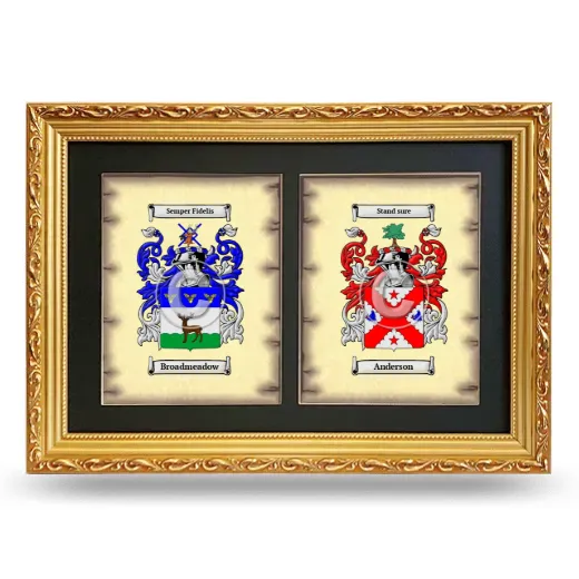 Double Coat of Arms Framed - Gold