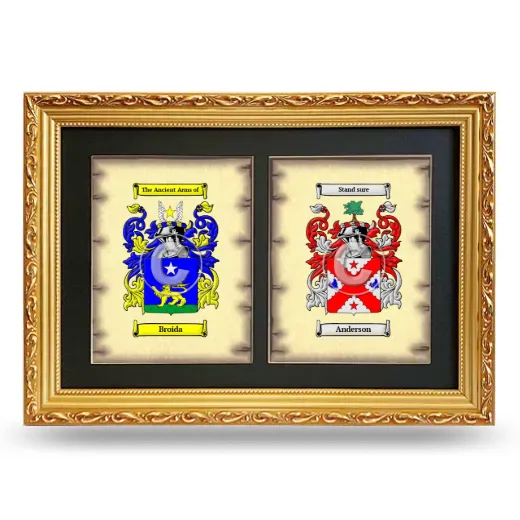 Double Coat of Arms Framed - Gold