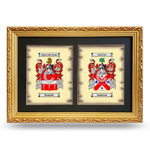 Double Coat of Arms Framed - Gold