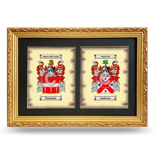 Double Coat of Arms Framed - Gold