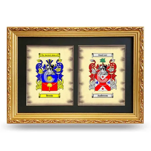 Double Coat of Arms Framed - Gold