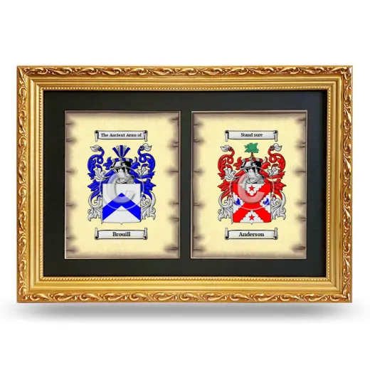 Double Coat of Arms Framed - Gold