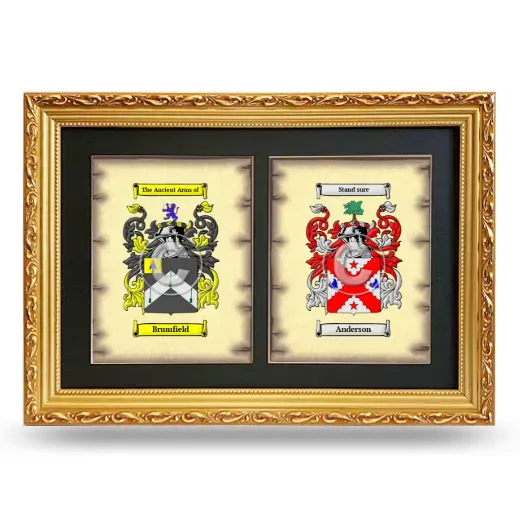 Double Coat of Arms Framed - Gold
