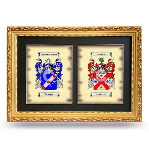 Double Coat of Arms Framed - Gold