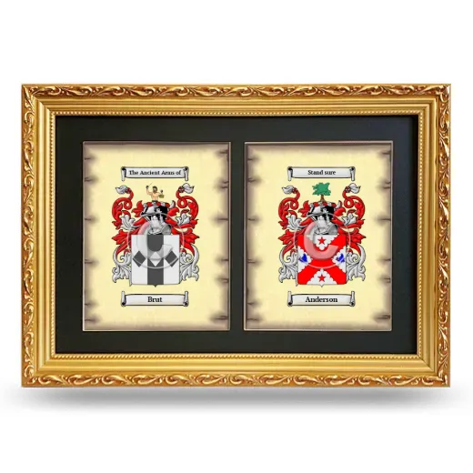 Double Coat of Arms Framed - Gold