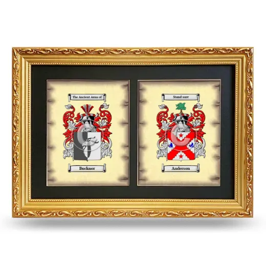 Double Coat of Arms Framed - Gold