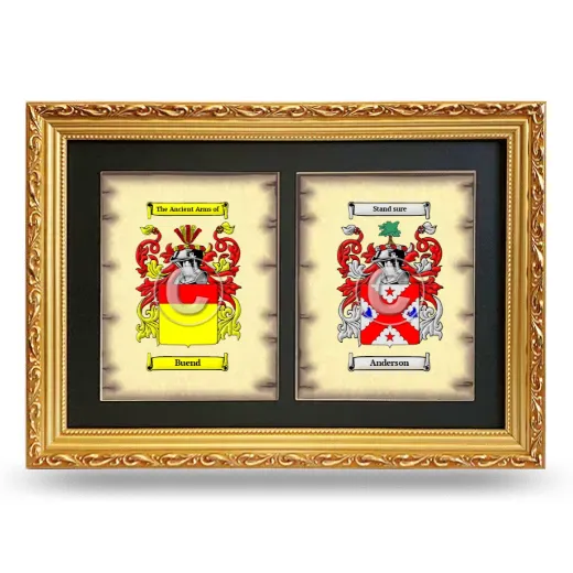 Double Coat of Arms Framed - Gold
