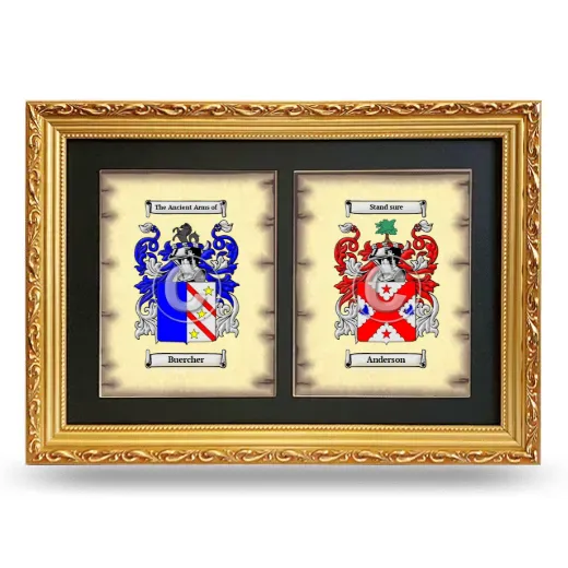 Double Coat of Arms Framed - Gold