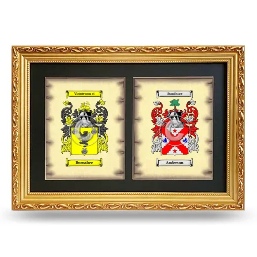 Double Coat of Arms Framed - Gold