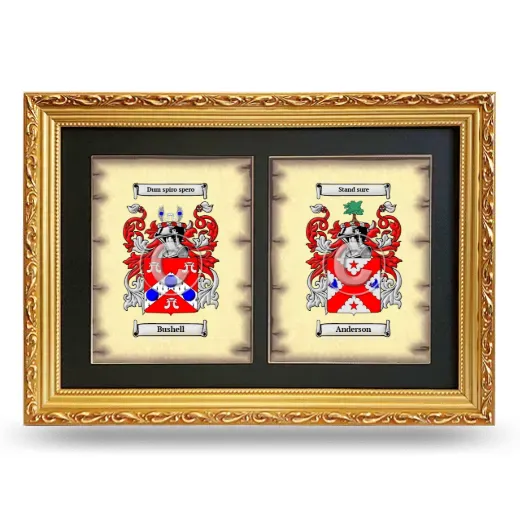 Double Coat of Arms Framed - Gold