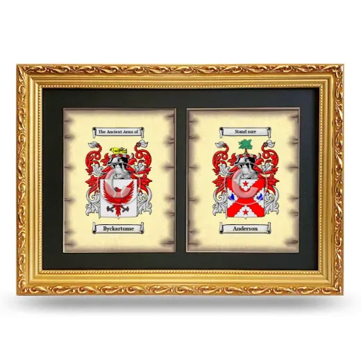 Double Coat of Arms Framed - Gold
