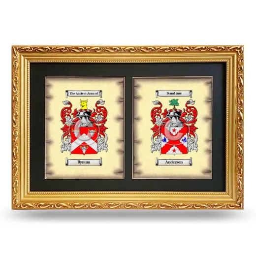 Double Coat of Arms Framed - Gold