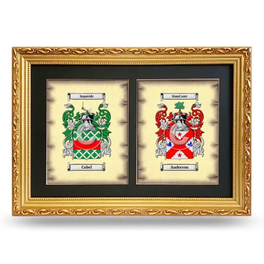 Double Coat of Arms Framed - Gold