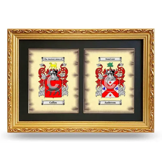 Double Coat of Arms Framed - Gold