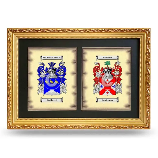 Double Coat of Arms Framed - Gold