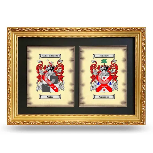 Double Coat of Arms Framed - Gold