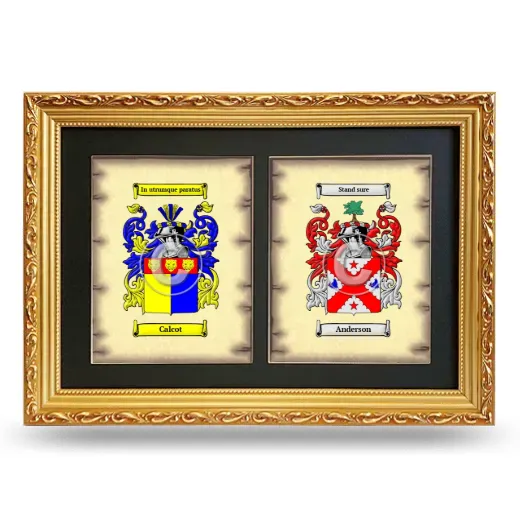 Double Coat of Arms Framed - Gold