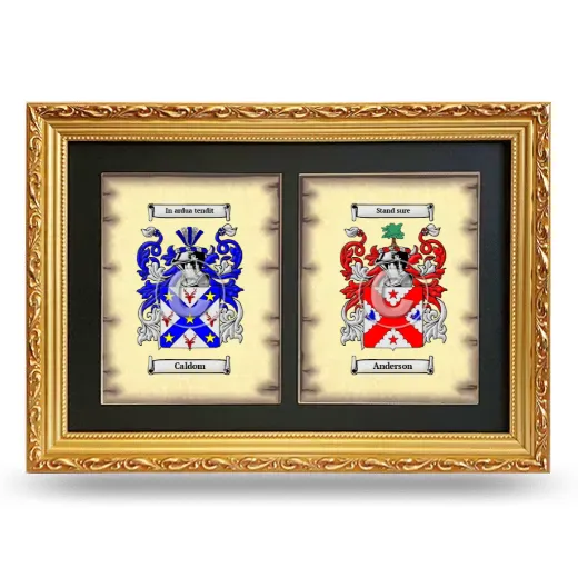Double Coat of Arms Framed - Gold