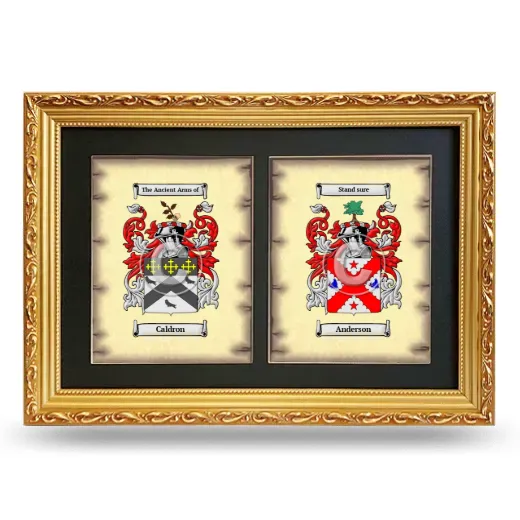 Double Coat of Arms Framed - Gold